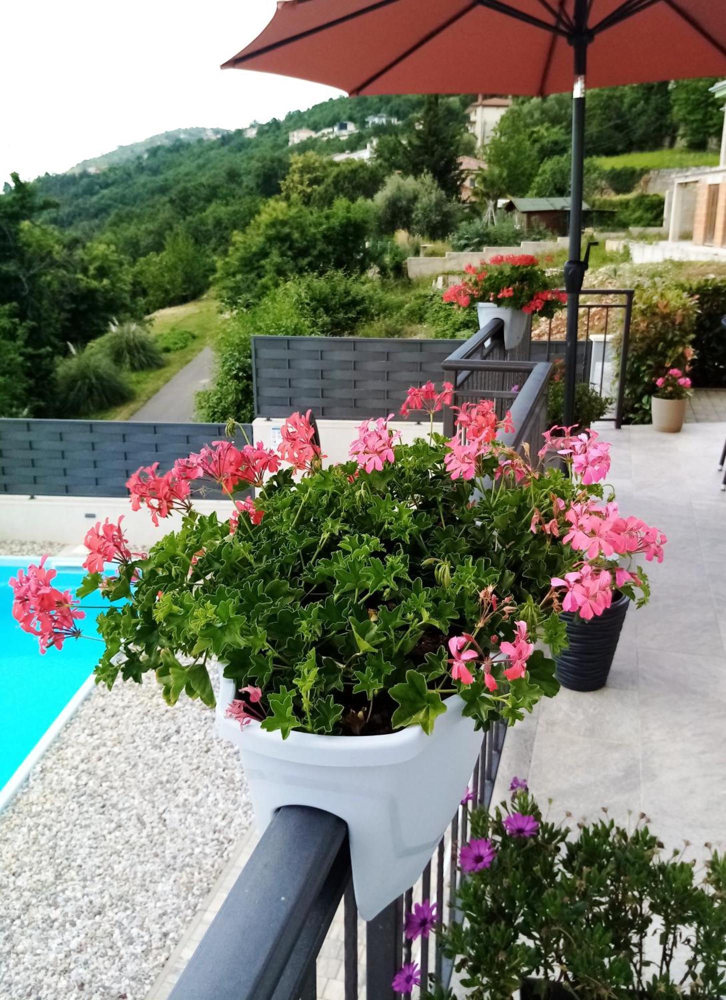 Apartment Ivy2 لوفغان المظهر الخارجي الصورة